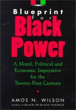 Blueprint for Black Power: A Moral, Political, and Economic Imperative for the Twenty-First Century by Amos Wilson